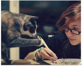 描写动物的四个字词?