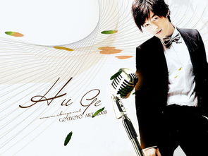 我的偶像英语作文带翻译，我的偶像英语作文100字带翻译