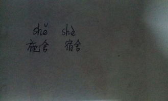 舍的组词和拼音