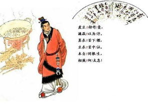 七步诗的作者是谁曹植，七步诗有两个版本