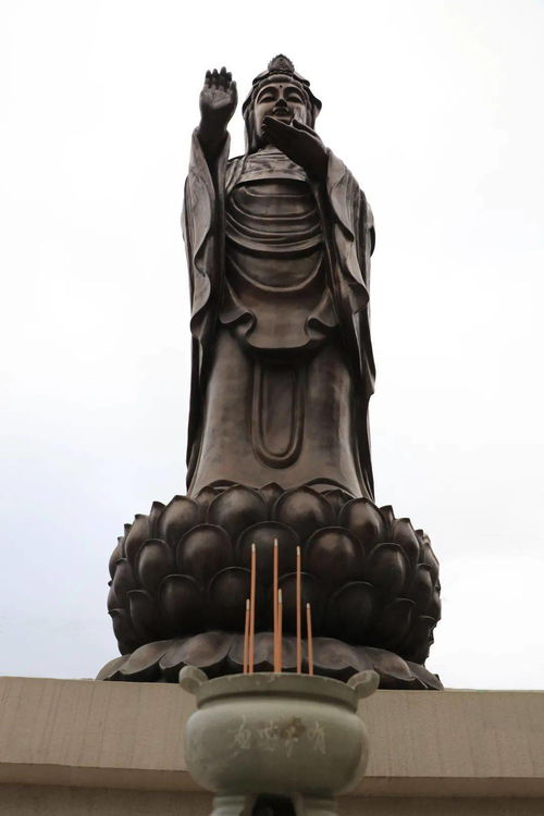 盂兰盆会是指什么意思，盂兰盆会流程