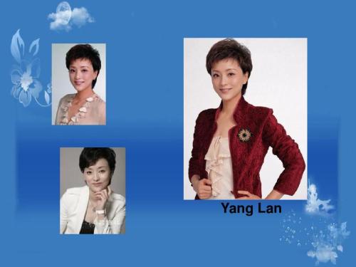 我的偶像刘翔英语作文80词