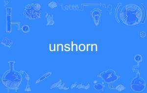 use的名词,形容词,副词和反义词的形式是什么