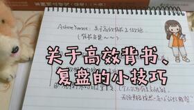 ashore什么意思?