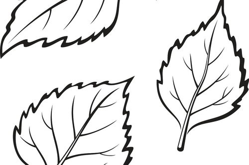 秋天形容天气好的优美句子，形容天气好的优美句子夏天