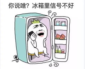 夏天的英文怎么写
