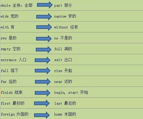 悠然的反义词，常见的反义词组100个