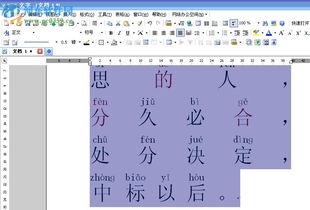 鹬拼音，柔嫩拼音