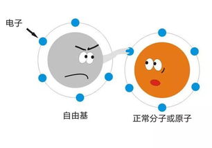 自由基是什么产生的?