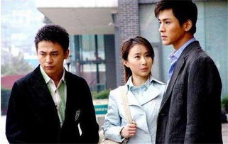 爱在来时的剧集评价