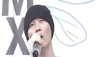 麦烝玮歌词，麦烝玮歌词什么意思