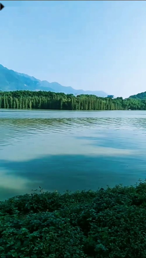 的风景作文，的风景照