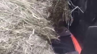 crushing综合症，crushing anhedonia什么动漫