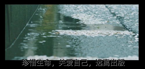 物伤其类是什么意思?