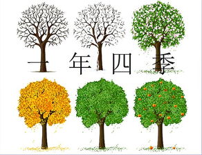 四季常青的树有哪些