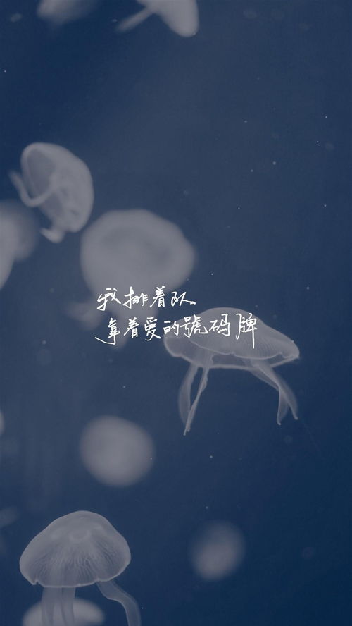 那首歌里有“我要往前飞,我是真爱的玫瑰”歌词啊?