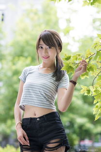 一夜飞度镜湖月文言文翻译