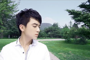 故乡情怀歌曲原唱