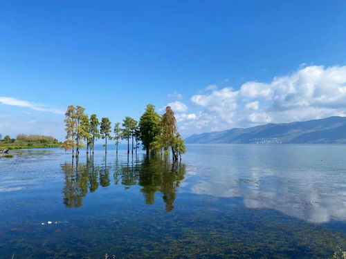 汲汲锓锓,是什么意思?
