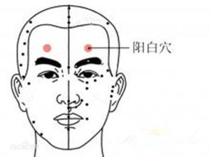 阳白的准确位置及功效
