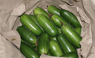 世界上到底有多少种瓜?(注:须可以食用发图)