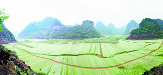 隆安律师事务所官网，隆安天气