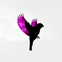 sparrow是什么意思，sparrow造句