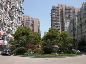 林苑图片大全图片，林苑个人简历图片