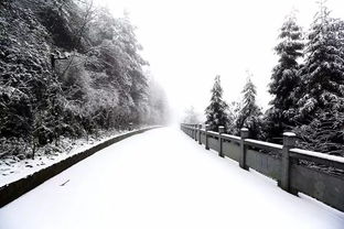 又蓝的小说融雪之前，融雪之前双a又蓝笔趣阁