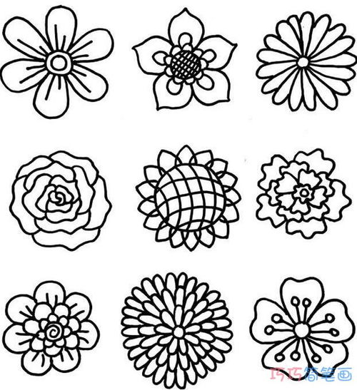 如何画花朵简笔画