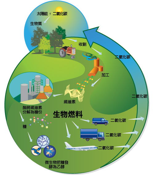 生物质能发电主要利用什么为原料