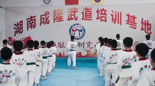 跆拳道精神 含义 宗旨，跆拳道精神的4句口号