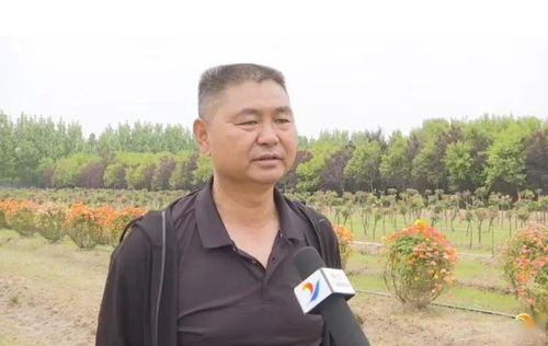 不惑之旅怎么感觉像简爱