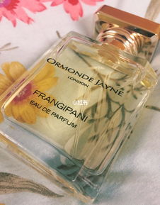 frangipani是什么意思