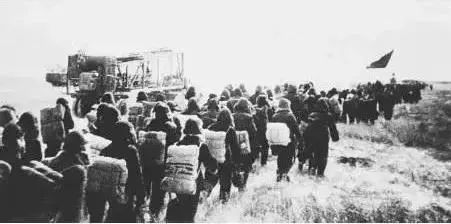 老革命还有多少健在，老革命的精神是怎样形容