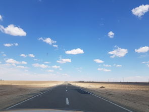 乌兰巴托的夜晚简谱，乌兰巴托的夜晚完整版大欢