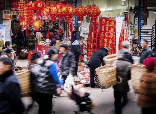 买年货作文200字左右