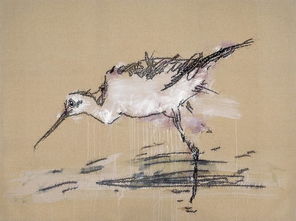 九只鸟打一字念什么，一只狗四个口打一字