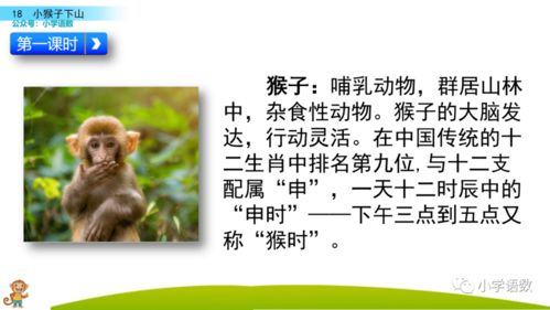 塞多音字组词组，天空的空多音字组词