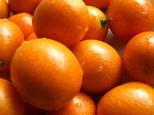 各种水果的英文名称