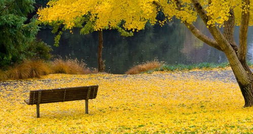 灵川天气预报15天查询结果，灵川天气预报15天气