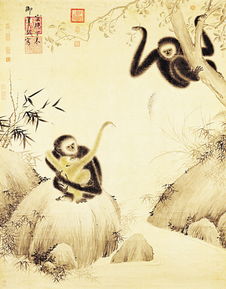 猱怎么读 猱的意思