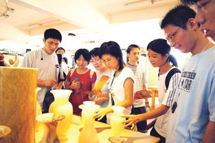 实践活动照片宪法，实践活动照片一年级