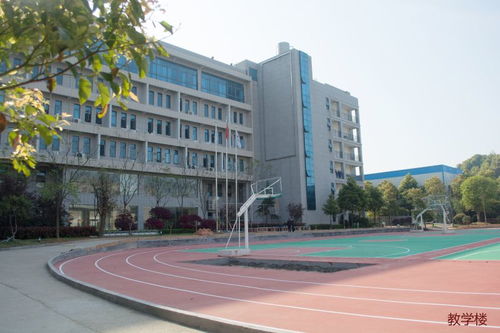 衡阳计算机学校许犇老师，衡阳计算机学校许犇老师官网
