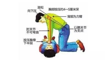 急救知识心肺复苏感悟，急救知识心肺复苏的意义