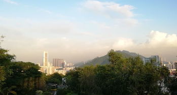 深圳西丽有什么好玩的地方