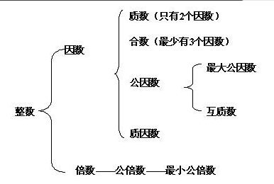 42的因数有几个偶数，42的因数有几个三位数