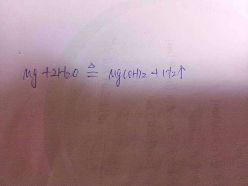 镁和水反应方程式为什么没有沉淀符号，碳化镁和水反应