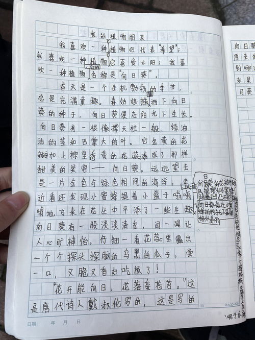 作文在路上800字，九年级下册语文第三单元作文《在路上》