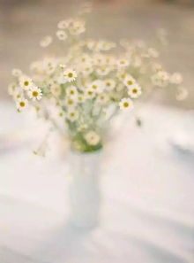 《我喜欢》张晓风150字读后感